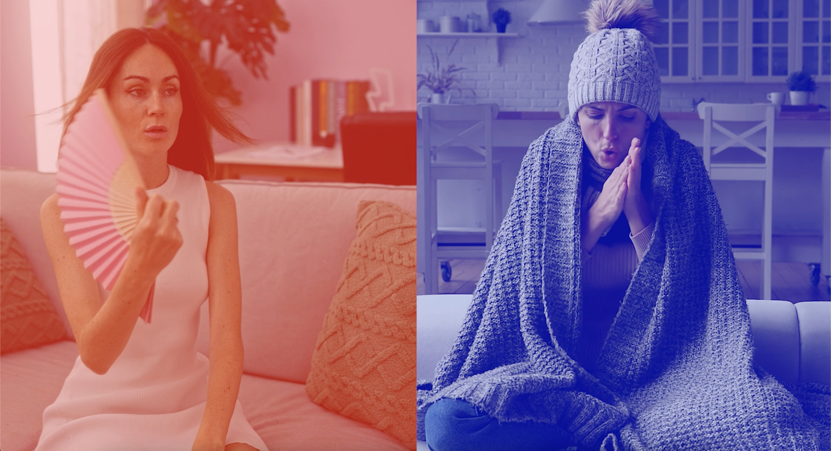 Screenshot 2025-02-21 at 4.02.16 PM